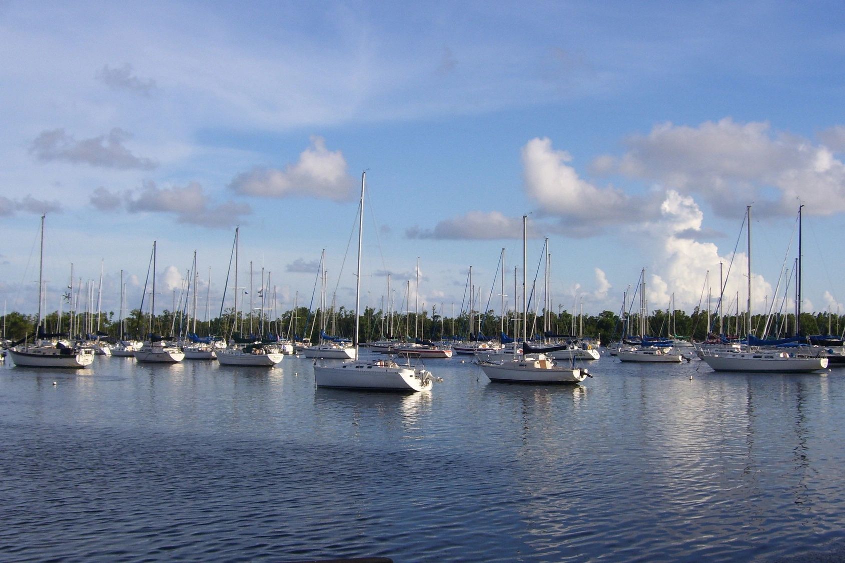 Waterfront marina with sailboats